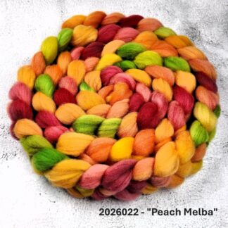 2026022- Hand Dyed Fine Merino Combed Top - "Peach Melba"