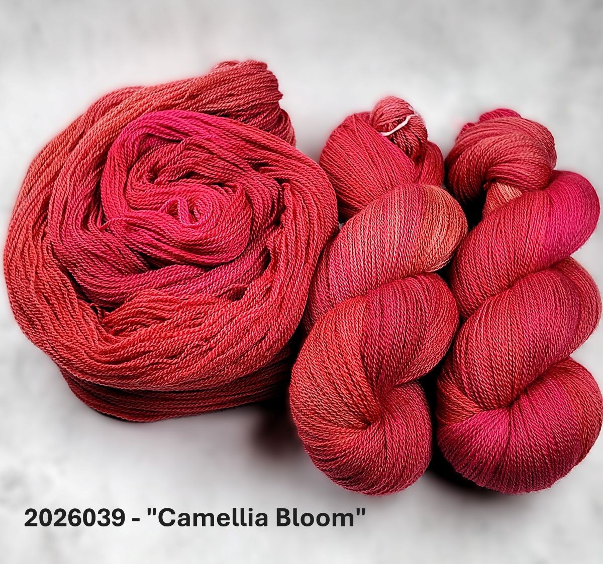 2026039 - 2 Ply Lace Hand Dyed Yarn - "Camellia Bloom"